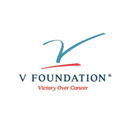 VFoundation